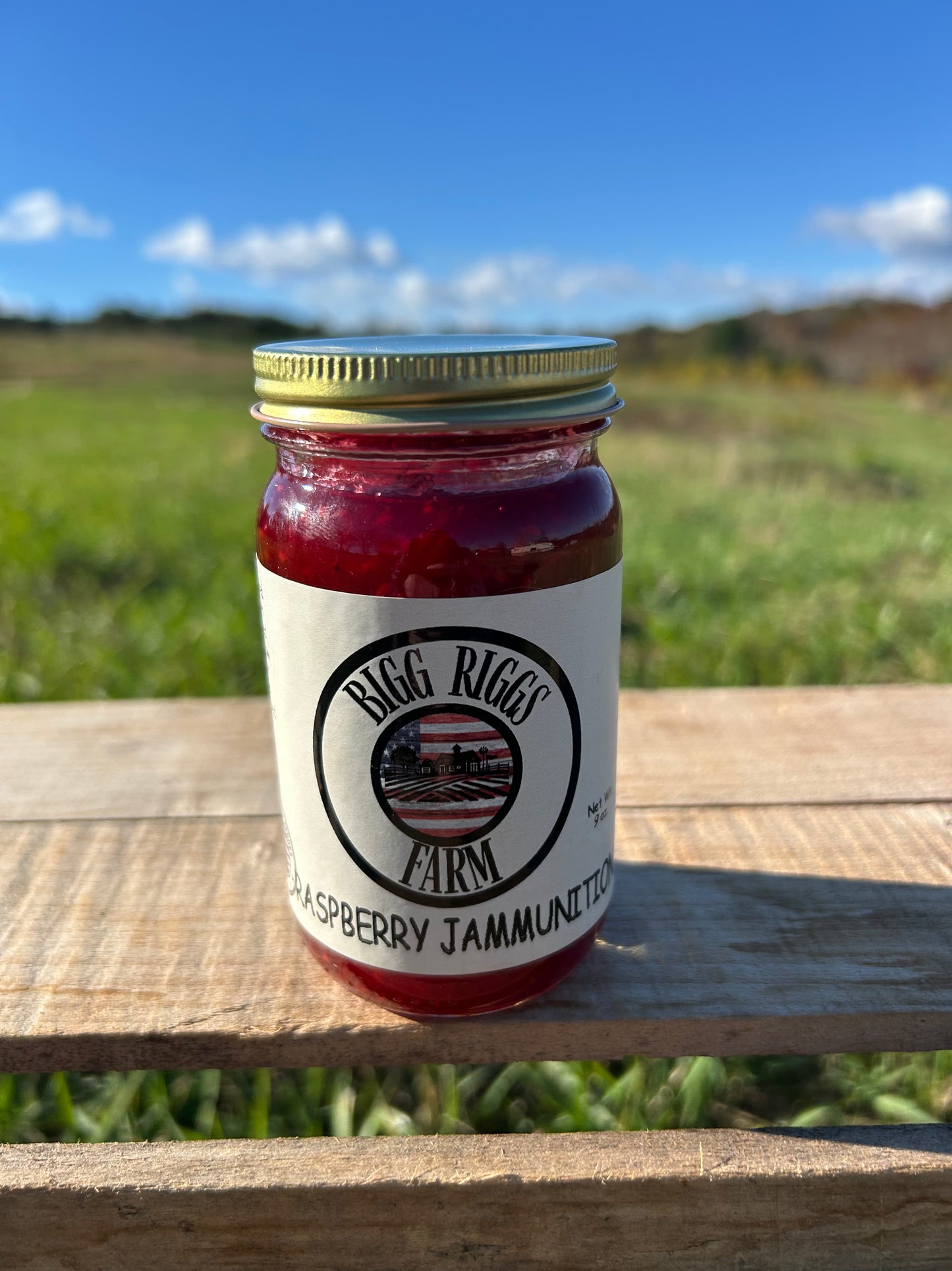 Raspberry Jammunition