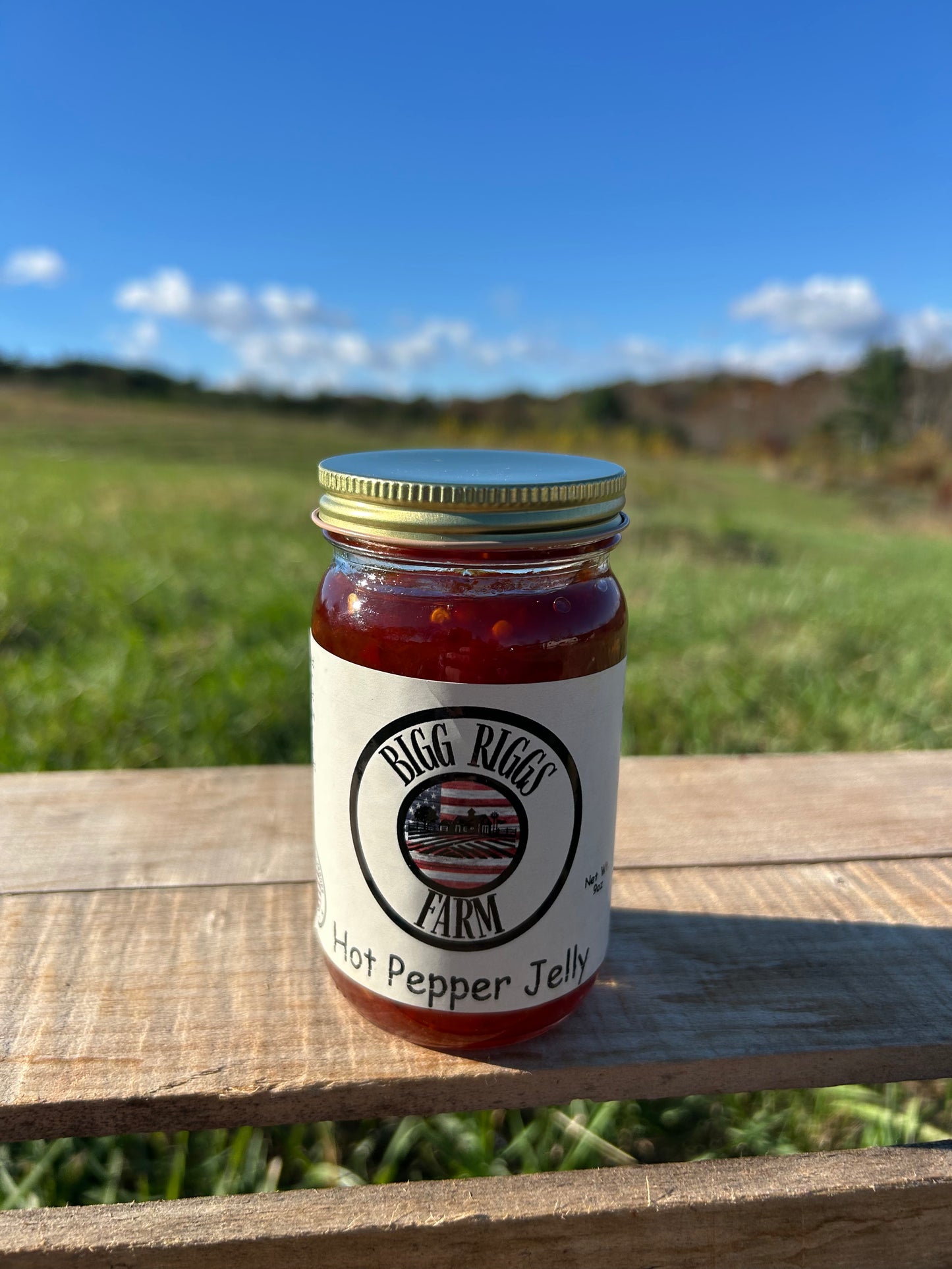 Recon Red Hot Pepper Jelly